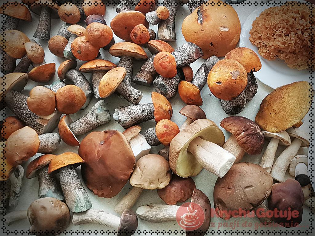 Przepisy na dania z grzybami i przetwory z grzybów